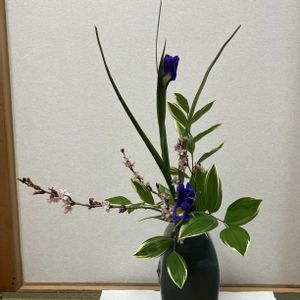 サクラ,アイリス,鳴子百合,小原流,和室の画像