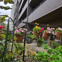 フェンスの画像