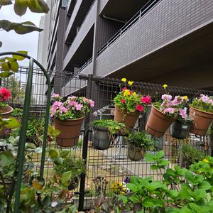 フェンスの画像