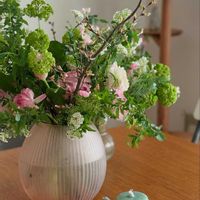 コデマリ,ラナンキュラス,フラワーアレンジメント,ブーケ,春のお花の画像