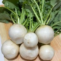 キッチンハーブ,小さな庭,家庭菜園,庭の画像