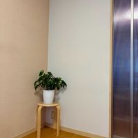 シェフレラ,観葉植物,模様替え,観葉植物のある暮らし,リビング・ダイニングの画像