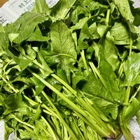 ほうれん草,おすそ分け,短歌,平和に感謝の画像