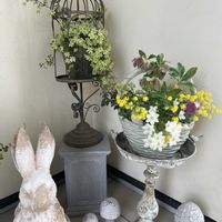 クレマチス,寄せ植え,ガーデニング,玄関ディスプレイ,癒しの画像