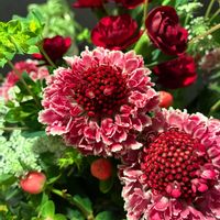 花束,リビング・ダイニングの画像