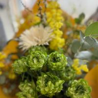 エクレール,スワッグ,花束,バラ科,バラ属の画像