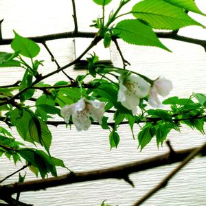 アプローチの画像