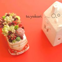 多肉植物,多肉植物寄せ植え,多肉寄せ植え,今日の１枚の画像