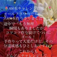 チューリップ,手作り,チャレンジ,観葉植物を楽しむ,植物大好きの画像