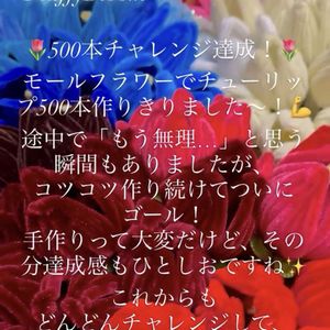 チューリップ,手作り,チャレンジ,観葉植物を楽しむ,植物大好きの画像