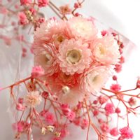 ヘリクリサム・ルビークラスター,ヘリクリサム,ドライフラワー,ドライフラワーアレンジの画像