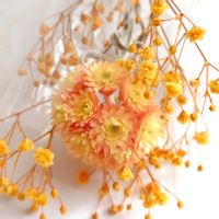 ヘリクリサム,ヘリクリサム エンバーグロウ,ドライフラワー,ドライフラワーアレンジの画像