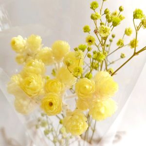 ヘリクリサム,イエローダイヤモンド,ドライフラワー,ドライフラワーアレンジの画像