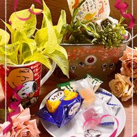 アネモネ,ポトス,マツバギク,八重咲き　アネモネ,ポトスマーブルクイーンの画像