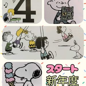 胡蝶蘭,多肉植物,花のある暮らし,多肉植物のある暮らし,心ほっこりの画像