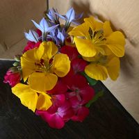 ハーブ,いつもありがとう♡,ありがとう,ハーブのある暮らし,春の訪れの画像