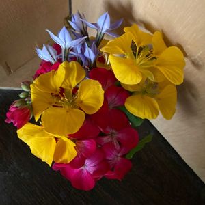 ハーブ,いつもありがとう♡,ありがとう,ハーブのある暮らし,春の訪れの画像