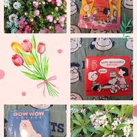 ネモフィラ,馬酔木(アセビ）,プレゼント,小さな幸せ♡,木曜モフモフの画像