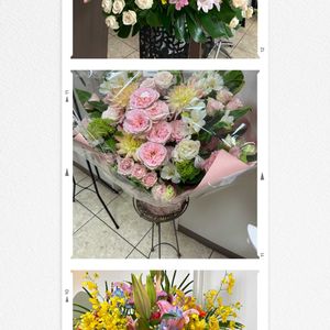 花のある暮らし,お祝い花,ねこと緑のある暮らし,金曜キラキラの画像