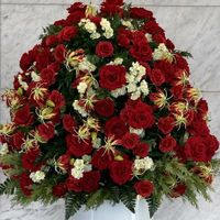 ストック,バラ,グロリオサの画像