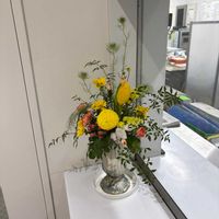 クラスペディアの画像