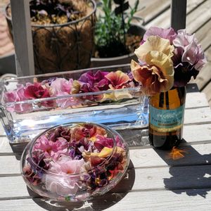 かわいいな♡,お花好き,すてき…♡,自己流ガーデニング,お花のある暮らし✩︎⡱の画像