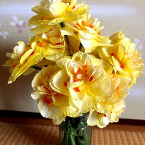 スイセン,黄色い花,元気いっぱい,和室の画像