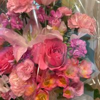 カーネーション,ストック,バラ,フリージア,ピンクムーンの画像