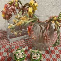 リビング,お出掛け先,シーサーの日,毎月3日は耳の日,玄関アプローチの画像