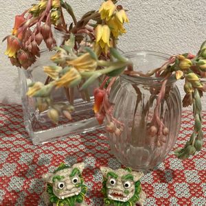 リビング,お出掛け先,シーサーの日,毎月3日は耳の日,玄関アプローチの画像