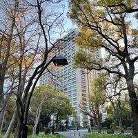 チューリップ,ユリ,欅.(けやき),日比谷公園,お出かけ先にての画像