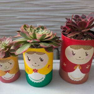 多肉植物,葉挿し,多肉寄せ植え,実生苗,実生っ子の画像