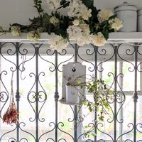 スイセン,スノーフレーク,アイビー,ビオラ,ソメイヨシノの画像