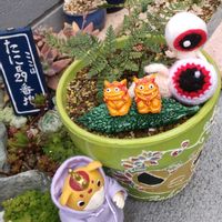 スノーフレーク,樹氷,トキワシノブ,シュウレイ,パープルへイズの画像