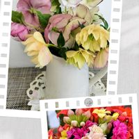 カランコエ,クリスマスローズ,チーム愛知,すずガーデン,玄関内側の画像