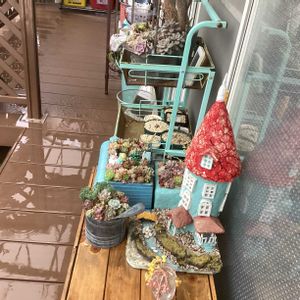 ガーデニング,ウッドデッキ,寄せ植え大好き,お迎え多肉,多肉箱の画像