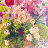 夏水仙,リコリス・スクアミゲラ,マジック アマリリス,マジック アマリリス,ブーケの画像