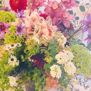 夏水仙,リコリス・スクアミゲラ,マジック アマリリス,マジック アマリリス,ブーケの画像