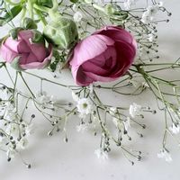 マトリカリア,ラナンキュラス,ラナンキュラス,かすみ草,かすみ草の画像