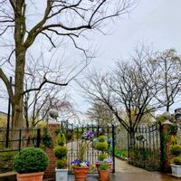 チューリップ,ワスレナグサ,河津桜,みつけ　イングリッシュガーデン,寄せ植えの画像