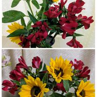 切り花を楽しむ,可愛いお花達,世界に平和を,いつもありがとう(^-^)の画像