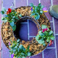 玄関アプローチの画像