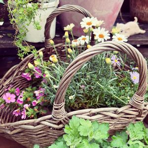 ウッドデッキ,テラス,ベランダ,庭の画像