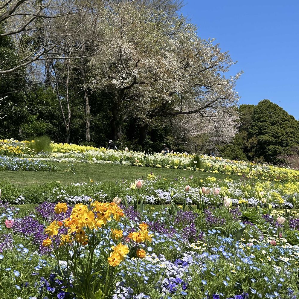 まーちゃんさんの里山ガーデン（大花壇）への投稿