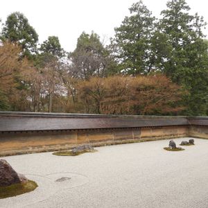 雨の日,お寺,庭園,緑のある暮らし,世界遺産の画像