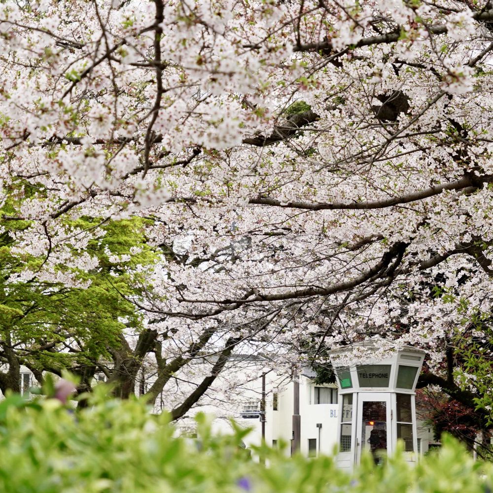 【公式】ガーデンネックレス横浜さんの中区への投稿