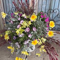 ヘデラ 白雪姫,ガザニアビースト　シルバーフォックス,ペチュニア ララ,ペチュニア　りん,ペチュニアグレープパフェの画像