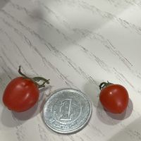 ミニトマト,リビング・ダイニングの画像