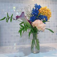 カラー,スターチス,かすみ草の画像