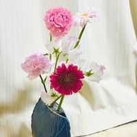 カーネーション,ガーベラ,スイートピー,ラナンキュラス,花束の画像